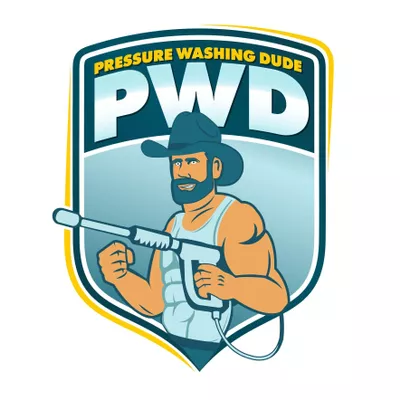 The Pressure Washing Dude