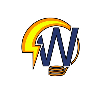 Wise Electrical Solutions LLC