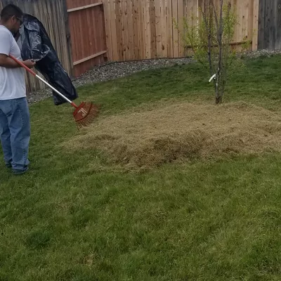 Vejar Lawns