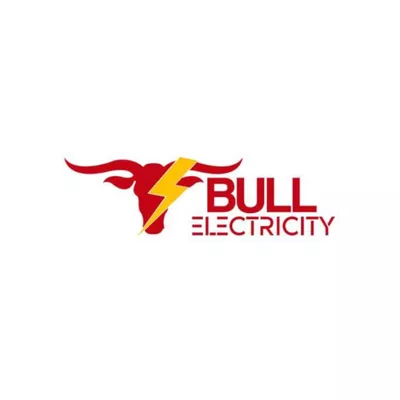 Bull Electricity