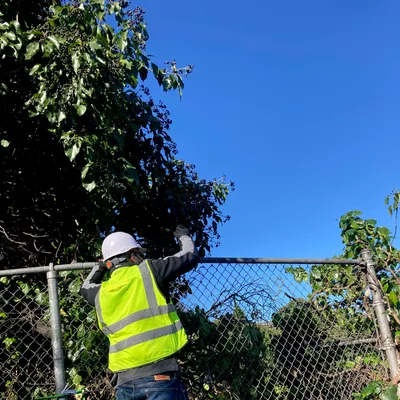 Dynamo Building maintenance