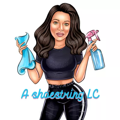 A shoestring llc