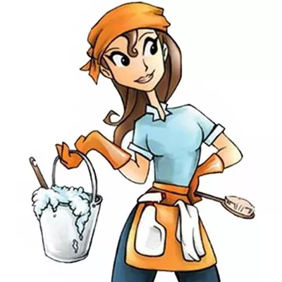 Cozy's Cleaners and Organizers LLC