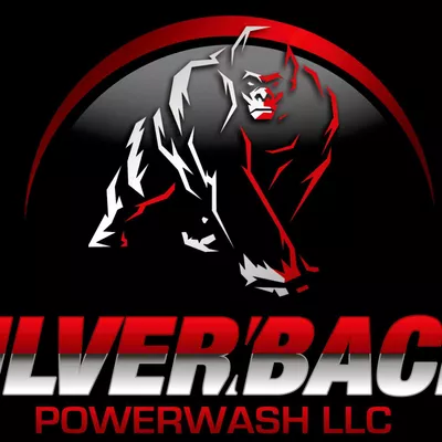 silverback powerwash llc
