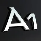 A1 Moving