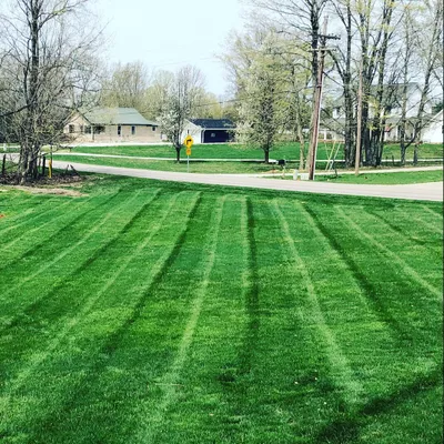 Clear Cut Mowing