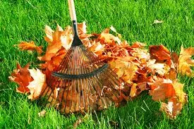 Oklahoma Lawncare Specialists