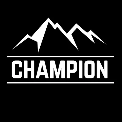 Champion window cleaning