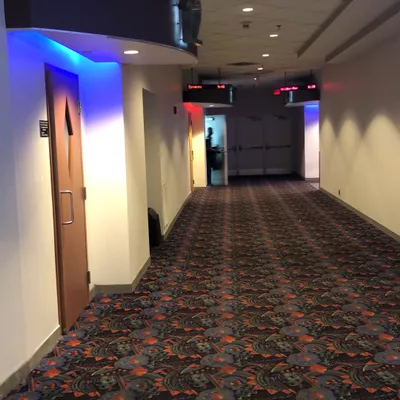 Carpet King