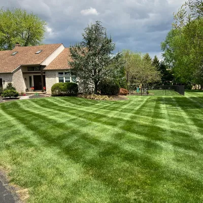 Caputo Landscaping