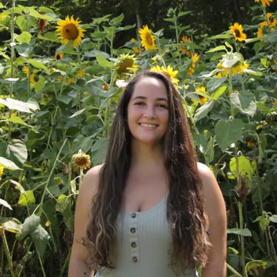 Sassafras Photographs