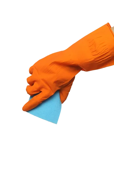 Sandra Helping Hand's