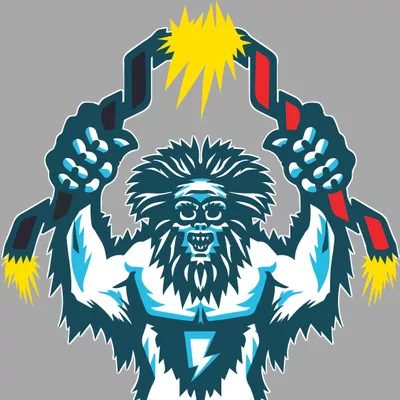 Yeti Ark Electric