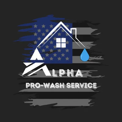 Alpha Pro-Washing & Handyman Service