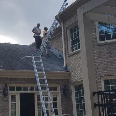 Wildlife Removal Specialist of Atlanta