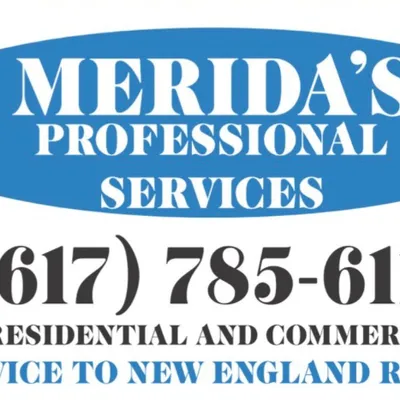 Meridas Professional Services