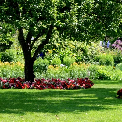 Precision Lawncare and Landscaping