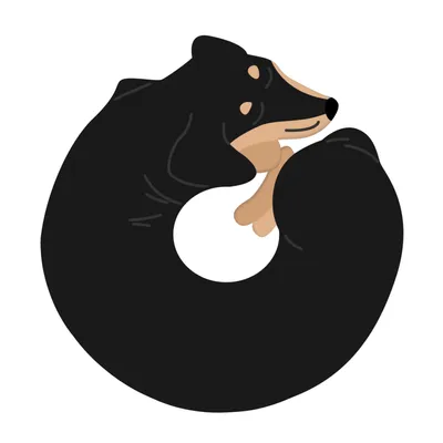 DOXIDONUT