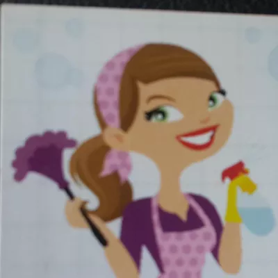 DeFreitas Cleaning Services LLC
