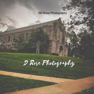 D Rose Photography