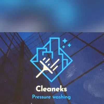 Cleaneks Solutions