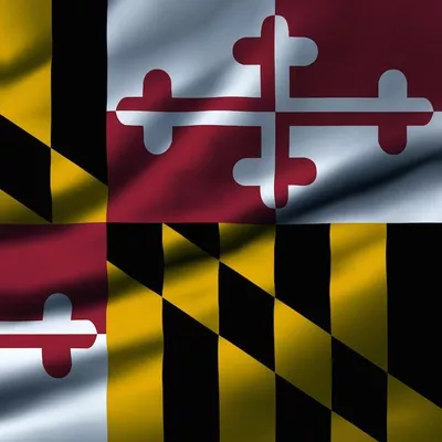 Maryland Plumbing & Electric Inc