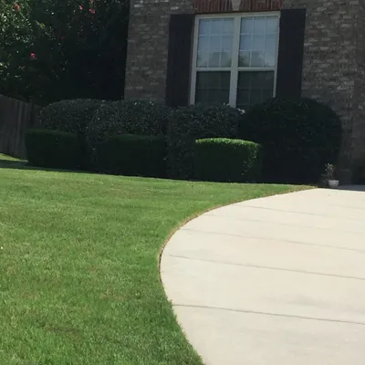 Rangel's Lawn Maintenance