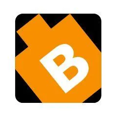 BitsWits