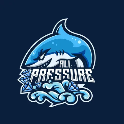 All Pressure detailing LLC
