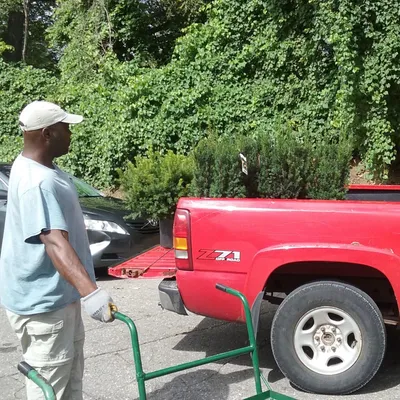 DX Lawncare