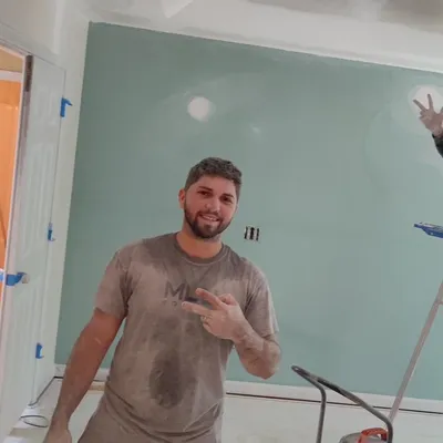 Araujo remodeling and paintings in general