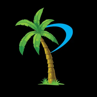 Paradise Commercial Services LLC