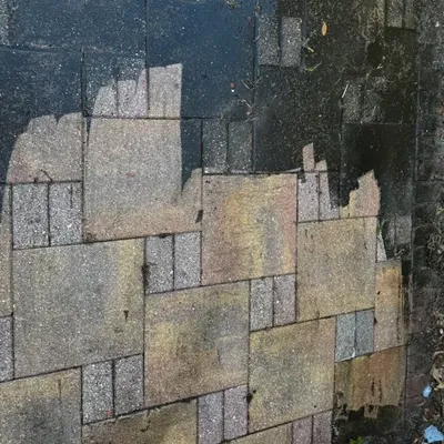 Pressure washing and junk removal