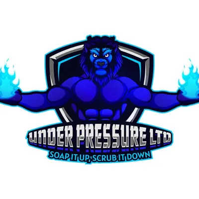 Under Pressure LTD (Pressure Washing Co.)