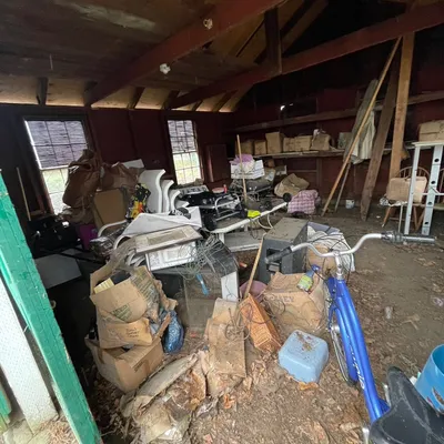 Junk Patrol