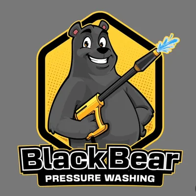 Black Bear Pressure Washing