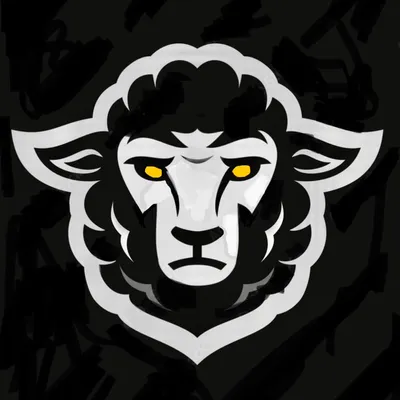 Blax Sheep Pressure Washing