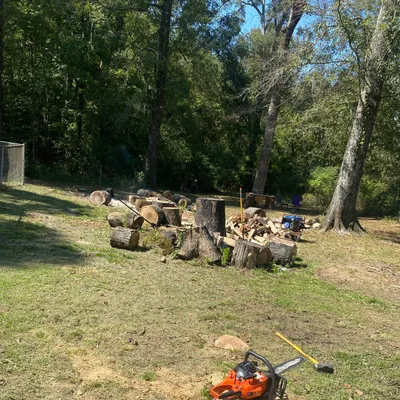 318 junk removal