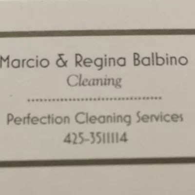 Perfection cleaning services