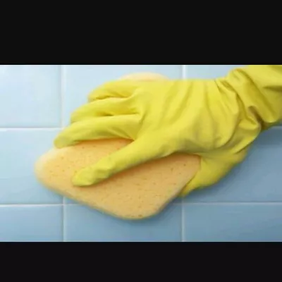 swanky cleaning