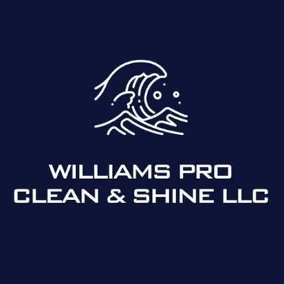 Williams Pro Clean & Shine LLC