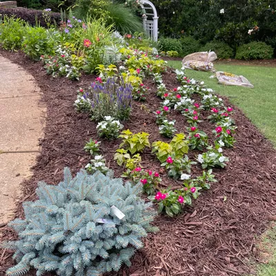 Ruben’s Landscaping and yard maintenance