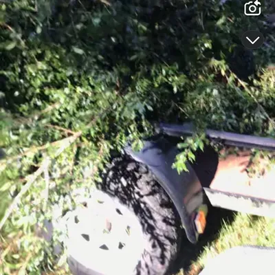 W and D junk removal and hauling