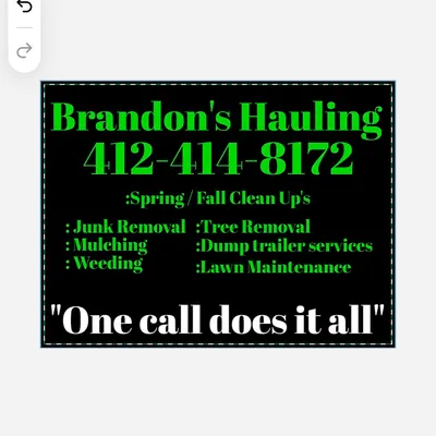 Brandon's Hauling