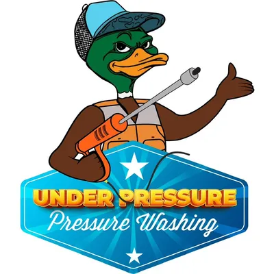 Under Pressure Pressure Washing