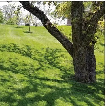 Viking Dirtworks and Landscaping LLC