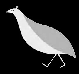 Partridge Photography