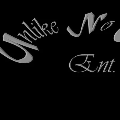 Unlike No Other Entertainment