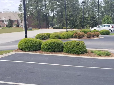 Legacy Lawn Care