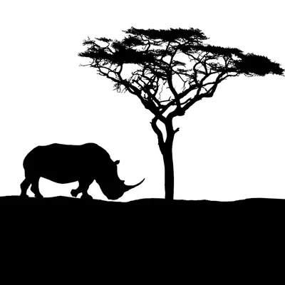 Lonely Rhino Productions